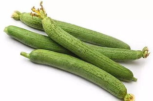 丝瓜什么人不能吃(丝瓜吃多了对男性性功能是不是有障碍),第2张 丝瓜什么人不能吃(丝瓜吃多了对男性性功能是不是有障碍),丝瓜什么人不能吃(丝瓜吃多了对男性性功能是不是有障碍),第2张