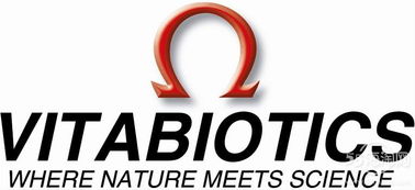 上海市办公室设计哪家好:重塑家居氛围,打造哥特式贵族生活方式,第2张 上海市办公室设计哪家好:重塑家居氛围,打造哥特式贵族生活方式,上海市办公室设计哪家好:重塑家居氛围,打造哥特式贵族生活方式,第2张