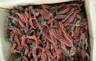 北京天上人间梁海玲(北京天上人间梁海玲案件破了没),第1张 北京天上人间梁海玲(北京天上人间梁海玲案件破了没),北京天上人间梁海玲(北京天上人间梁海玲案件破了没),第1张