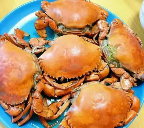 青蟹有几种做法（青蟹有几种做法图片）,青蟹有几种做法（青蟹有几种做法图片）,第1张