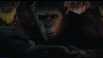 凯撒王子木门(凯撒和凯撒王),第3张 凯撒王子木门(凯撒和凯撒王),凯撒王子木门(凯撒和凯撒王),第3张