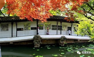 上海办公室装潢:使用优秀灯具,点亮您的生活!,第2张 上海办公室装潢:使用优秀灯具,点亮您的生活!,上海办公室装潢:使用优秀灯具,点亮您的生活!,第2张