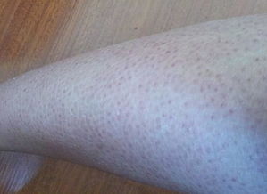 上海办公室设计装修:探寻紫檀木的文化内涵和价值,第3张 上海办公室设计装修:探寻紫檀木的文化内涵和价值,上海办公室设计装修:探寻紫檀木的文化内涵和价值,第3张