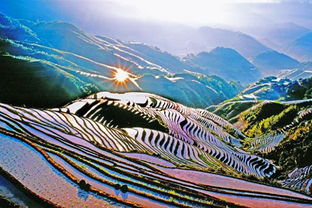 阳朔龙脊梯田(阳朔龙脊梯田图片),第1张 阳朔龙脊梯田(阳朔龙脊梯田图片),阳朔龙脊梯田(阳朔龙脊梯田图片),第1张
