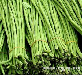 豇豆是什么(豇豆是什么意思),第3张 豇豆是什么(豇豆是什么意思),豇豆是什么(豇豆是什么意思),第3张