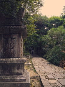 上海办公室装修设计:南京亚光膜让你轻松避免烈日曝晒,第3张 上海办公室装修设计:南京亚光膜让你轻松避免烈日曝晒,上海办公室装修设计:南京亚光膜让你轻松避免烈日曝晒,第3张