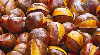 办公楼装饰：如何让君子兰焕发青春？——君子兰叶子黄的解决方法,办公楼装饰：如何让君子兰焕发青春？——君子兰叶子黄的解决方法,第3张