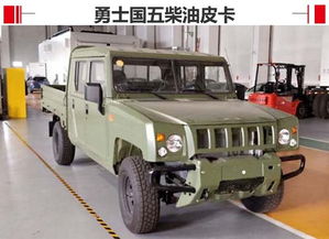 勇士皮卡改装（勇士皮卡改装案例内饰）,勇士皮卡改装（勇士皮卡改装案例内饰）,第1张