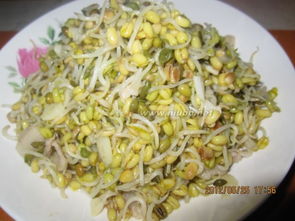 绿豆芽怎么做好吃(自己发的绿豆芽怎么做好吃),第1张 绿豆芽怎么做好吃(自己发的绿豆芽怎么做好吃),绿豆芽怎么做好吃(自己发的绿豆芽怎么做好吃),第1张