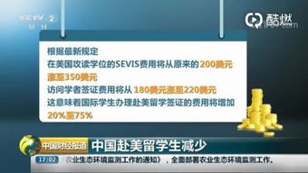 店铺装修模板(手机淘宝店铺装修模板),第2张 店铺装修模板(手机淘宝店铺装修模板),店铺装修模板(手机淘宝店铺装修模板),第2张