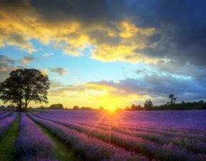 办公设计公司:科技感十足!TILT智能酒柜让你掌控酒的储存和酿制,第3张 办公设计公司:科技感十足!TILT智能酒柜让你掌控酒的储存和酿制,办公设计公司:科技感十足!TILT智能酒柜让你掌控酒的储存和酿制,第3张