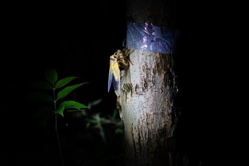 北京装饰网(北京装修网站大全),第3张 北京装饰网(北京装修网站大全),北京装饰网(北京装修网站大全),第3张