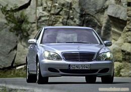 美人蕉的养殖(美人蕉的养殖方法),第3张 美人蕉的养殖(美人蕉的养殖方法),美人蕉的养殖(美人蕉的养殖方法),第3张