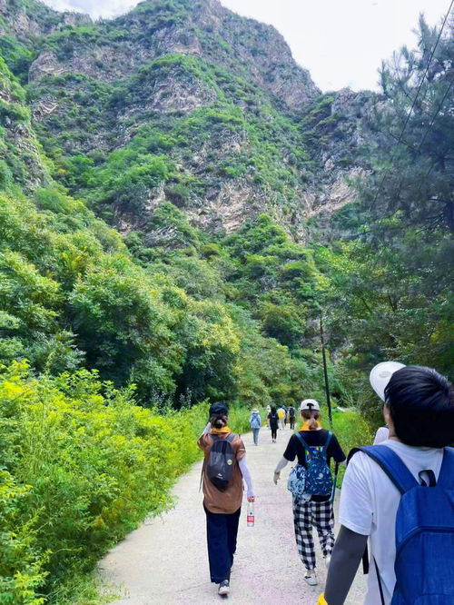 北京周边好玩的景点排名(北京周边好玩的地方排名榜),第1张 北京周边好玩的景点排名(北京周边好玩的地方排名榜),北京周边好玩的景点排名(北京周边好玩的地方排名榜),第1张