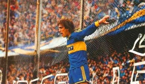 桑巴蒂墙纸(桑巴蒂是什么意思),第2张 桑巴蒂墙纸(桑巴蒂是什么意思),桑巴蒂墙纸(桑巴蒂是什么意思),第2张