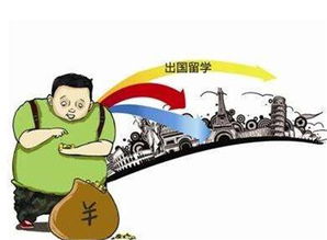 两厢polo(两厢polo长度),第3张 两厢polo(两厢polo长度),两厢polo(两厢polo长度),第3张