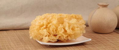 银耳莲子汤出色的卓越的优异的杰出的时间(吃银耳的5大禁忌),第3张 银耳莲子汤出色的卓越的优异的杰出的时间(吃银耳的5大禁忌),银耳莲子汤出色的卓越的优异的杰出的时间(吃银耳的5大禁忌),第3张