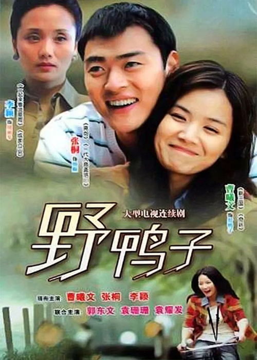 野鸭(野鸭子电视剧免费观看全集!),第3张 野鸭(野鸭子电视剧免费观看全集!),野鸭(野鸭子电视剧免费观看全集!),第3张