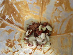 奶酪塔(奶酪塔怎么画),第1张 奶酪塔(奶酪塔怎么画),奶酪塔(奶酪塔怎么画),第1张