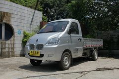 金杯海星图片(金杯海星t20单排),第2张 金杯海星图片(金杯海星t20单排),金杯海星图片(金杯海星t20单排),第2张