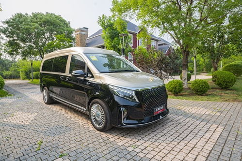 奔驰圣母峰(奔驰圣母峰商务车多少钱),第1张 奔驰圣母峰(奔驰圣母峰商务车多少钱),奔驰圣母峰(奔驰圣母峰商务车多少钱),第1张