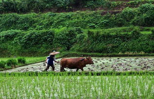 别墅设计:空调除湿与制冷有何差异? —— 理清空调工作原理,第3张 别墅设计:空调除湿与制冷有何差异? —— 理清空调工作原理,别墅设计:空调除湿与制冷有何差异? —— 理清空调工作原理,第3张