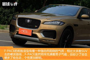 pace(pace3),第2张 pace(pace3),pace(pace3),第2张