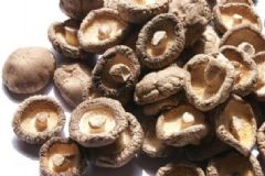 双孢菇的功效与作用(竹菇菌的功效与作用),第3张 双孢菇的功效与作用(竹菇菌的功效与作用),双孢菇的功效与作用(竹菇菌的功效与作用),第3张