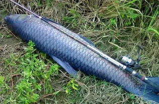 办公室装修:如何快速便捷地完成歌华有线缴费?,第2张 办公室装修:如何快速便捷地完成歌华有线缴费?,办公室装修:如何快速便捷地完成歌华有线缴费?,第2张