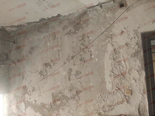 墙皮开裂（墙顶墙皮开裂）,墙皮开裂（墙顶墙皮开裂）,第1张