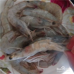 家常蒜蓉大虾的做法(家常蒜蓉大虾的做法视频),第3张 家常蒜蓉大虾的做法(家常蒜蓉大虾的做法视频),家常蒜蓉大虾的做法(家常蒜蓉大虾的做法视频),第3张