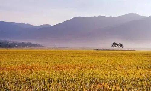 2020年什么时候立秋（2020年什么时候立秋?）,2020年什么时候立秋（2020年什么时候立秋?）,第1张