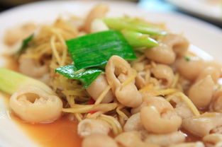 丰田普锐斯(丰田普锐斯2024),第3张 丰田普锐斯(丰田普锐斯2024),丰田普锐斯(丰田普锐斯2024),第3张