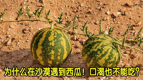 水电安装规范(水电安装规范最新完整版下载),第3张 水电安装规范(水电安装规范最新完整版下载),水电安装规范(水电安装规范最新完整版下载),第3张