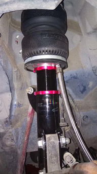 绿色食品加盟（绿色食品加盟店有哪些品牌）,绿色食品加盟（绿色食品加盟店有哪些品牌）,第2张