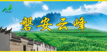 上海办公室装修设计:硅藻泥行业联盟:加速全球品牌合作与发展,第2张 上海办公室装修设计:硅藻泥行业联盟:加速全球品牌合作与发展,上海办公室装修设计:硅藻泥行业联盟:加速全球品牌合作与发展,第2张