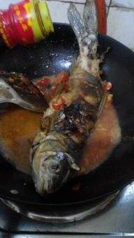 草鱼的家常做法鱼(草鱼做法大全菜谱),第1张 草鱼的家常做法鱼(草鱼做法大全菜谱),草鱼的家常做法鱼(草鱼做法大全菜谱),第1张