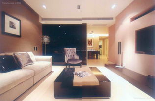 客厅简约装修效果图(客厅装修效果图),第3张 客厅简约装修效果图(客厅装修效果图),客厅简约装修效果图(客厅装修效果图),第3张