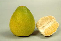 集结号游戏中心下载(集结号游戏大厅手机版),第3张 集结号游戏中心下载(集结号游戏大厅手机版),集结号游戏中心下载(集结号游戏大厅手机版),第3张