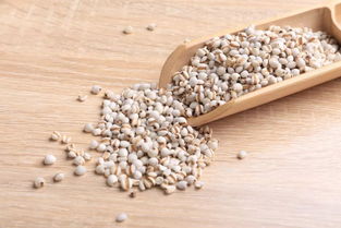 薏米怎么吃去湿气(薏米怎么吃去湿气效果好百度),第2张 薏米怎么吃去湿气(薏米怎么吃去湿气效果好百度),薏米怎么吃去湿气(薏米怎么吃去湿气效果好百度),第2张