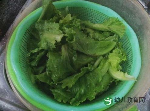 蚝油生菜的最简单做法(蚝油生菜的最简单做法视频),第3张 蚝油生菜的最简单做法(蚝油生菜的最简单做法视频),蚝油生菜的最简单做法(蚝油生菜的最简单做法视频),第3张