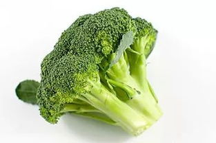 suv汽车排行榜(女款suv汽车排行榜),第1张 suv汽车排行榜(女款suv汽车排行榜),suv汽车排行榜(女款suv汽车排行榜),第1张