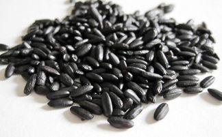 免漆室内门（免漆室内门填充）,免漆室内门（免漆室内门填充）,第2张