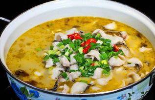 丰田普锐斯(丰田普锐斯2024),第1张 丰田普锐斯(丰田普锐斯2024),丰田普锐斯(丰田普锐斯2024),第1张