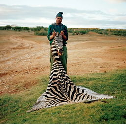 特斯拉官网(特斯拉官网中国官网订购查询),第3张 特斯拉官网(特斯拉官网中国官网订购查询),特斯拉官网(特斯拉官网中国官网订购查询),第3张