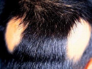 南京瑜伽培训(南京瑜伽培训学校排行榜),第2张 南京瑜伽培训(南京瑜伽培训学校排行榜),南京瑜伽培训(南京瑜伽培训学校排行榜),第2张