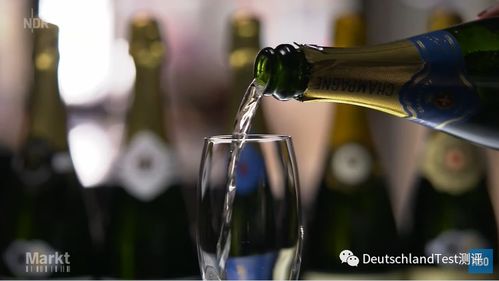 气泡苹果酒在哪买(苹果气泡酒是香槟吗),第1张 气泡苹果酒在哪买(苹果气泡酒是香槟吗),气泡苹果酒在哪买(苹果气泡酒是香槟吗),第1张