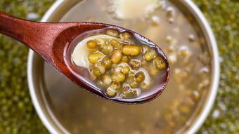 营养鸽子汤的做法(四种人不宜喝鸽子汤),第1张 营养鸽子汤的做法(四种人不宜喝鸽子汤),营养鸽子汤的做法(四种人不宜喝鸽子汤),第1张