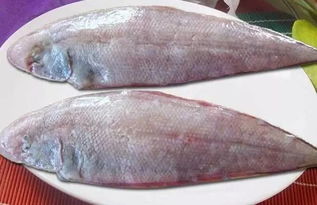 海兔的营养价值(海兔的营养价值,建议适量吃海兔),第3张 海兔的营养价值(海兔的营养价值,建议适量吃海兔),海兔的营养价值(海兔的营养价值,建议适量吃海兔),第3张