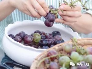 自制葡萄酒的做法(自制葡萄酒的做法视频教程),第1张 自制葡萄酒的做法(自制葡萄酒的做法视频教程),自制葡萄酒的做法(自制葡萄酒的做法视频教程),第1张